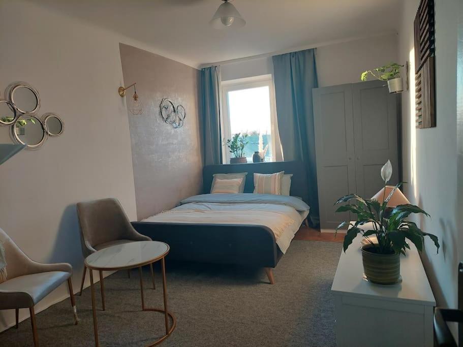 Apartment Klimatyczne Mieszkanie W Doskonalej Lokalizacji